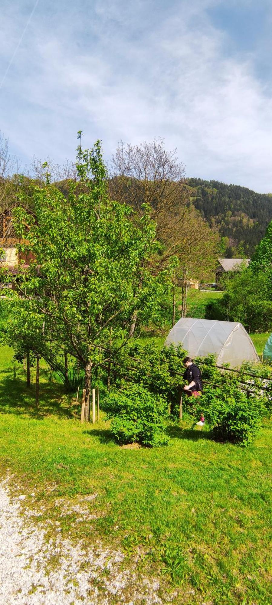 Domacija Markc Zelezniki Luaran gambar